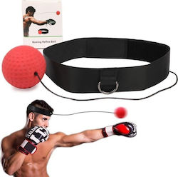 Pro Kids Ball Boxing Training