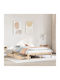 Vidaxl Bed Frame with Drawers Without Mattress 160x200cm 1 Piece Double Brown