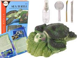 Lean Toys Ammonite Turtle Excavation για 6+ Ετών (EN)