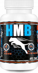 Game Dog Dog Supplements & Vitamins
