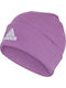 Beanie Beanie Knitted in Purple color