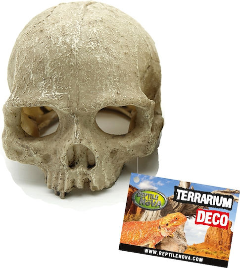 Reptile Nova Zubehör für Reptilienterrarium