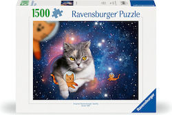 Cats In Space Puzzle 2D 1500 Pieces