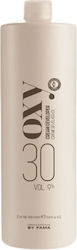 Professional by Fama 30Band 1000ml