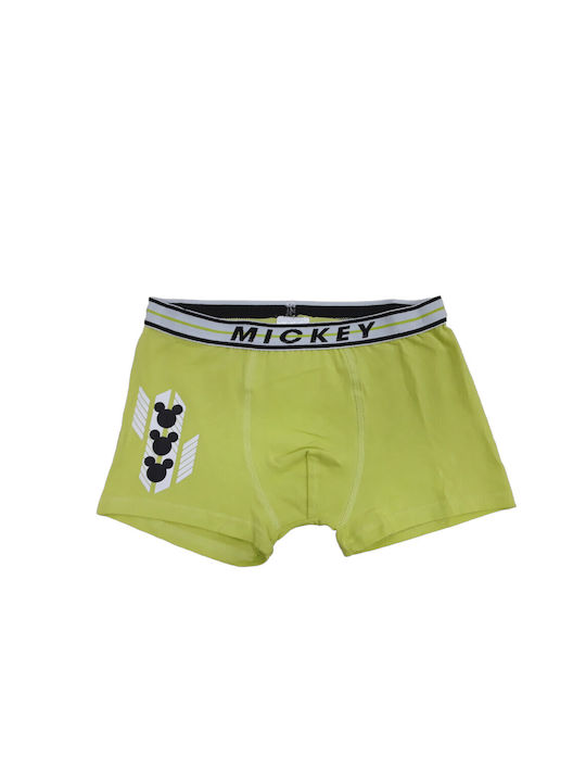 Disney Kids' Boxer Green