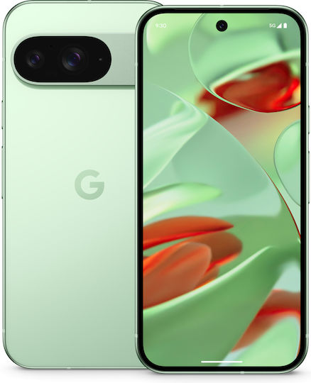 Google Pixel 9 5G (12GB/128GB) Wintergreen