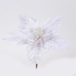 White Poinsettia with White Stamens 22cm