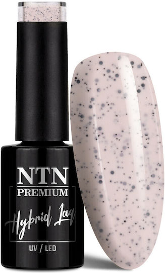 NTN Premium Semi-Permanent Nail Polish 181 5gr 1pcs
