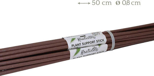 Pflanzenstützstab 50cm aus Holz