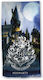 Borea Kids Beach Towel Harry Potter 140x70cm