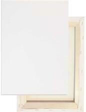 Exas Paper Canvas White
