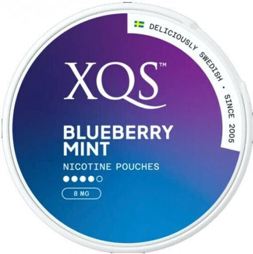 XQS Fros Tütchen Pouches Nikotin Stark 8mg mit Geschmack Blaubeere Minze