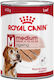 Royal Canin Medium Ageing 7+ Loaf Pate for Mature Medium Breed Dogs Over 7 Years 410g