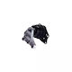Suport motor Skoda Fabia 6y2 1.9 Tdi Rs 2003-2008 Corteco 80000324