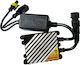 Car Xenon Ballast 12V