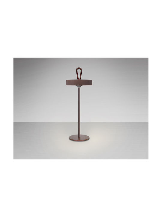 Table Decorative Lamp LED