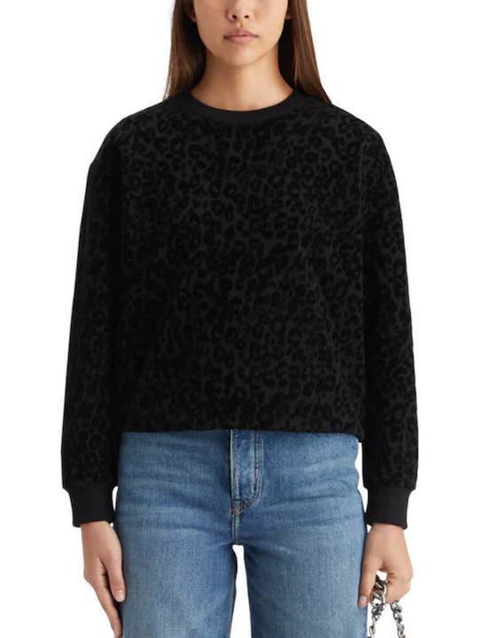 Scotch & Soda