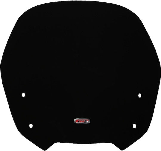 GP Kompozit Vizieră colorată motocicletă pentru Honda CBF 1000 0912040010005