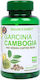 Holland & Barrett Cafea verde 100 capace Verde