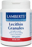 Lamberts mit Lecithin 250gr