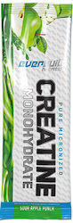 Creatine Monohydrate Sachet Orange Xplosion 5gr Creatine Monohydrate Sachet Orange Xplosion 5gr