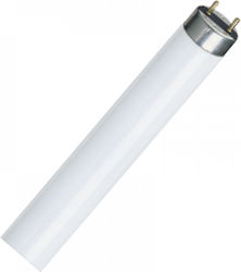 GE Fluorescent Lamp for Socket G13 with Shape T8 58W