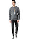 Minerva Dark grey