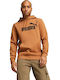 Big Logo Sweatshirt mit Kapuze Caramel Latte