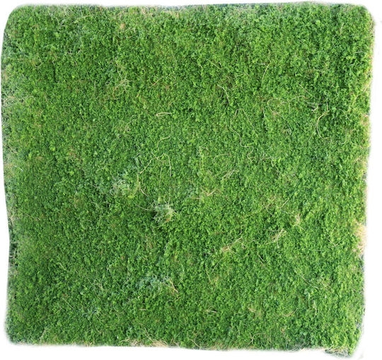 Supergreens Artificial Foliage Panel Moss Green 1x1m