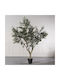 Künstlicher Baum für den Außenbereich Olive Grün 250cm Supergreens
