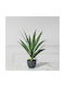 Künstliche Pflanze im Topf Yucca Grün 60cm Supergreens