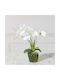 Artificial Plant in Pot Orchid White 42cm Supergreens