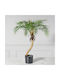 Artificial Plant in Pot Palm Tree Green 80cm Supergreens