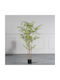 Изкуствено дърво за външно пространство Ficus Lyrata Green 150см Supergreens