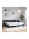 Sofa Bed Single Upholstered with Velvet Gray Color with Slats and Mattress 75x200cm