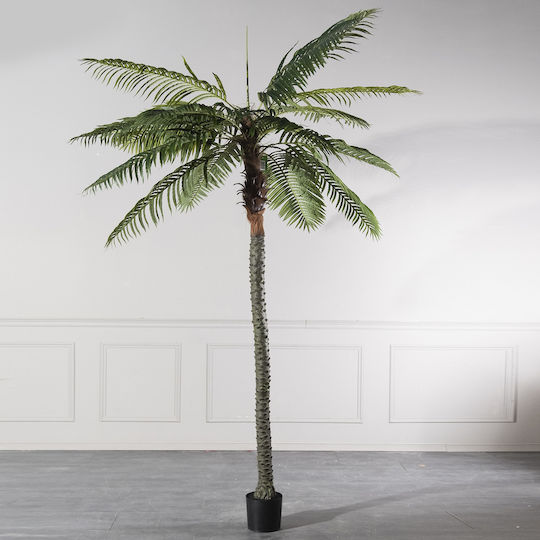 Supergreens Artificial Robellini Palm Tree Green 300 cm
