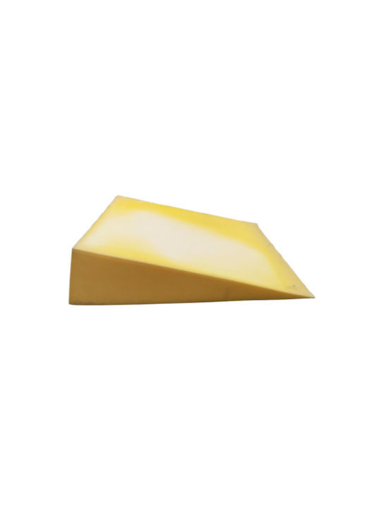 Jgs S.a Triangle Foam 250 Medium Density 100cm X 100cm X 25-0cm