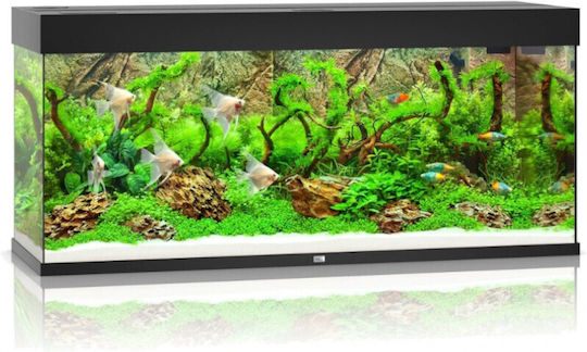 Juwel Rio Ενυδρείο Ψαριών Χωρητικότητας 240lt με Θερμαντήρα, Φίλτρο 121x41x55εκ. Μαύρο