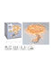 Christmas Lights 36m 480 LED Warm White Tra Wire