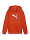 Puma Kids Sweatshirt with Hood Orange Jr Ess+ Logo Lab Cat