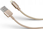 SBS USB-A la Cablu Lightning 1m