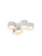 Aca Spot with 5 Lights in White Color