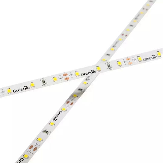 Greenie LED-Band 120x2835smd 9,6W/m Kaltweiß IP65 5m TL509CW