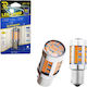 Rchang Lamps Car T10 Canbus LED 6500K Cold White 12V 1pcs