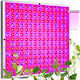 Gardlov Pendant Grow Light with LED and Power 36W L31xW31xH3.5cm.