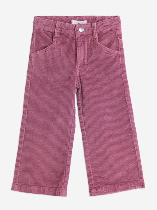 Cashmere Rose