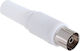 Cable Coaxial 1pcs