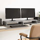 vidaXL Tabletop Suport pentru 2 Monitoare Sonom...