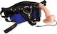 Nanma Sexxbian Harness with Dildo and Vibration...