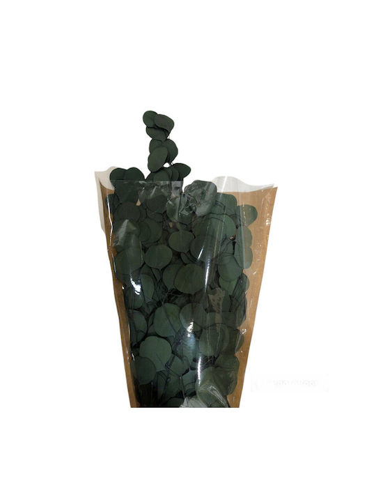 Dried Eucalyptus Plant Green 100g